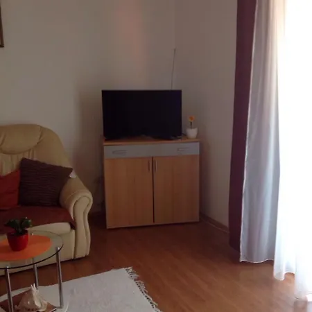 Apartment Ana Tudor *