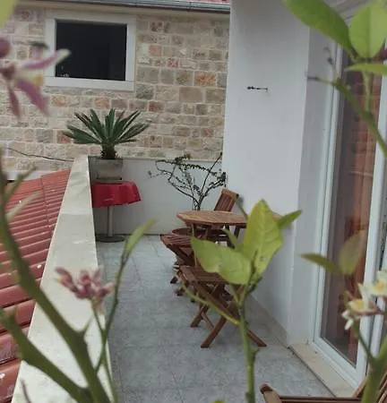 Apartment Ana Tudor *