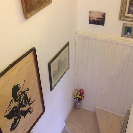 Apartment Ana Tudor *