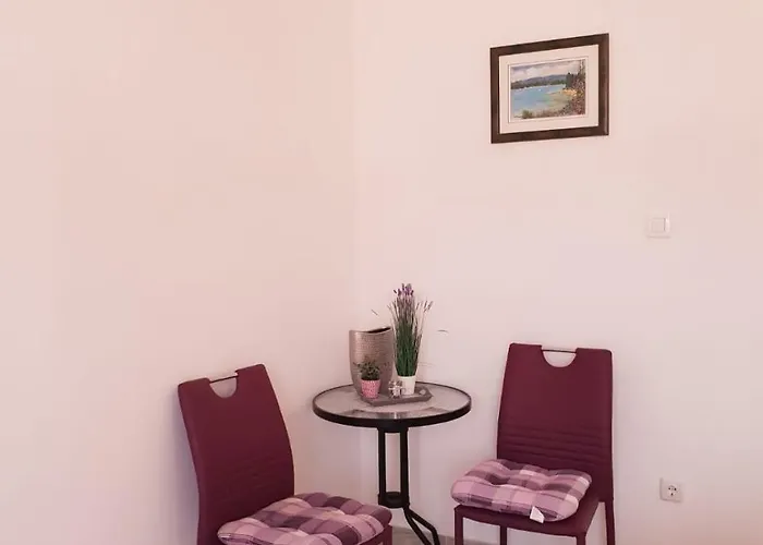 Ana Tudor Apartman *