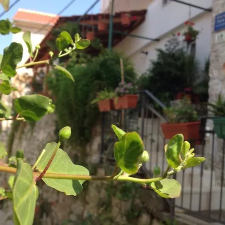 Appartement Ana Tudor *