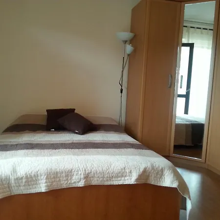 Apartment Ana Tudor *