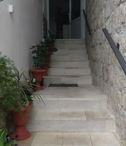 Ana Tudor חוואר