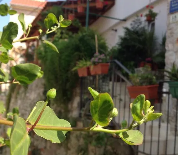 דירה Ana Tudor *