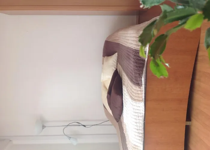 Ana Tudor חוואר